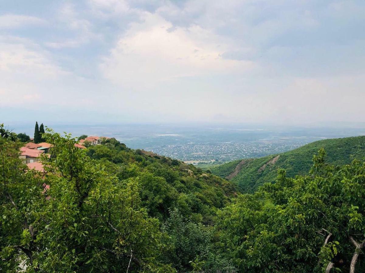 Guest House Evdoshvili St N5 Sighnaghi Esterno foto