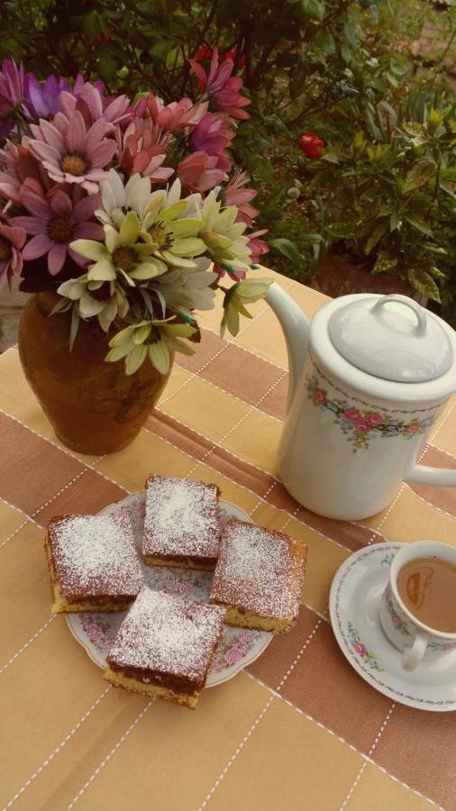 Guest House Evdoshvili St N5 Sighnaghi Esterno foto